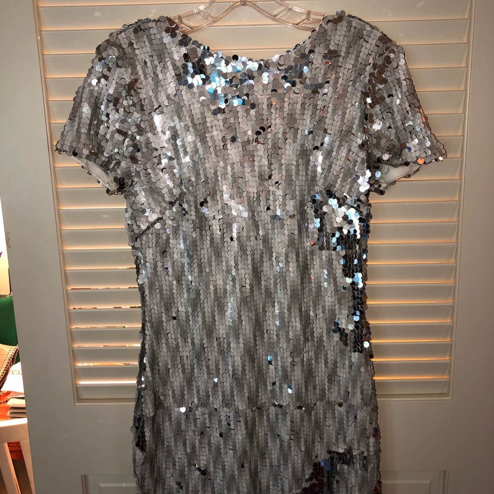 Dress the Population sequin dress